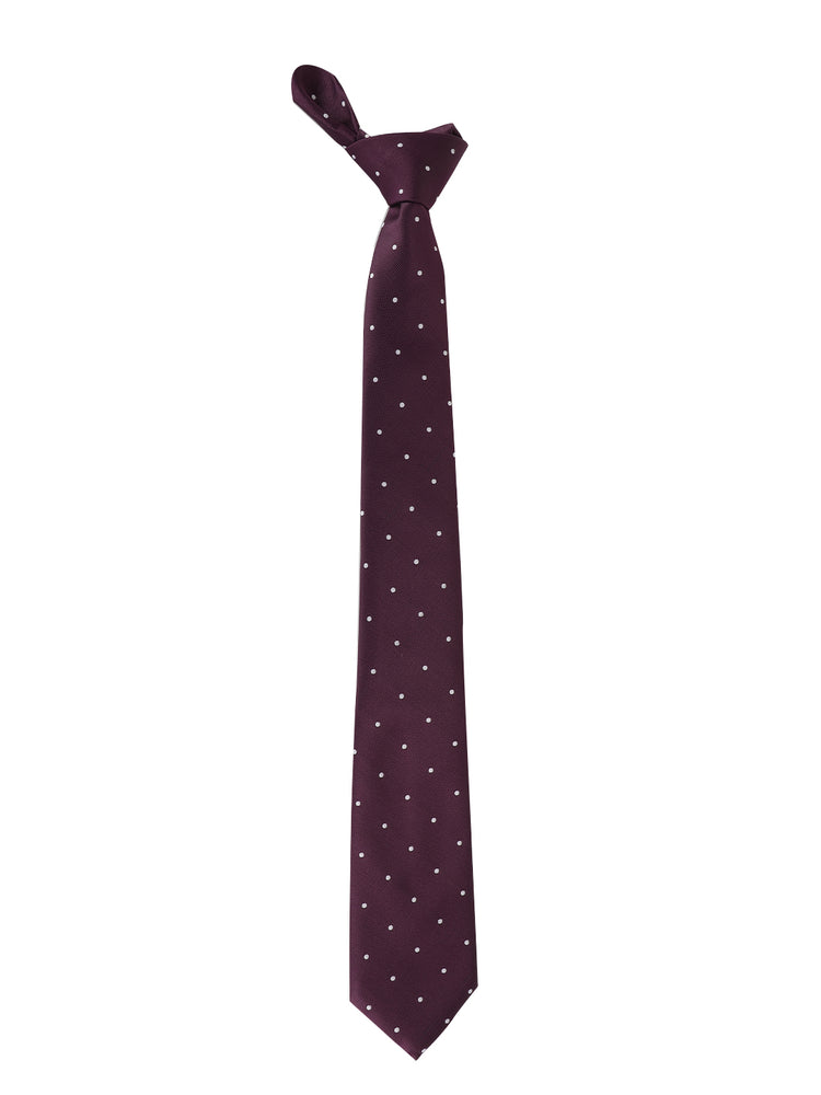 Wine Polka Neck Tie, Pocket Square And Lapel Pin Combo Gift Set