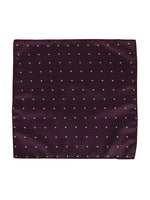 Wine Polka Neck Tie, Pocket Square And Lapel Pin Combo Gift Set