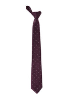 Wine Polka Neck Tie, Pocket Square And Lapel Pin Combo Gift Set