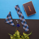 Blue Check Neck Tie, Cufflinks, Pocket Square And Lapel Pin Combo Gift Set